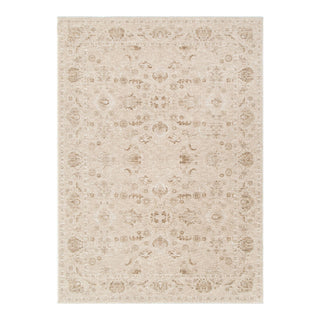 Sahara Biscotti Vintage Rug