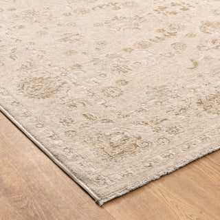 Sahara Biscotti Vintage Rug