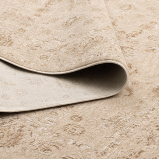 Sahara Biscotti Vintage Rug