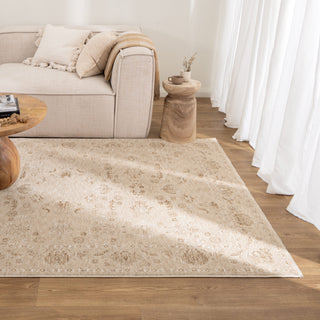 Sahara Biscotti Vintage Rug