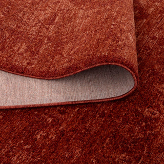 Valente Traditional Rug