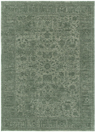 Verde Sage Traditional Rug