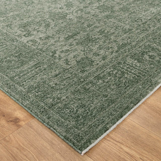 Verde Sage Traditional Rug