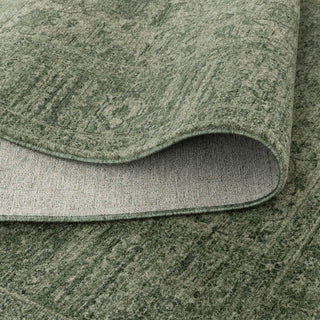 Verde Sage Traditional Rug